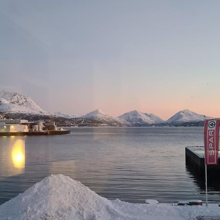 Вілла Aurora Harbour House Льодінген Екстер'єр фото