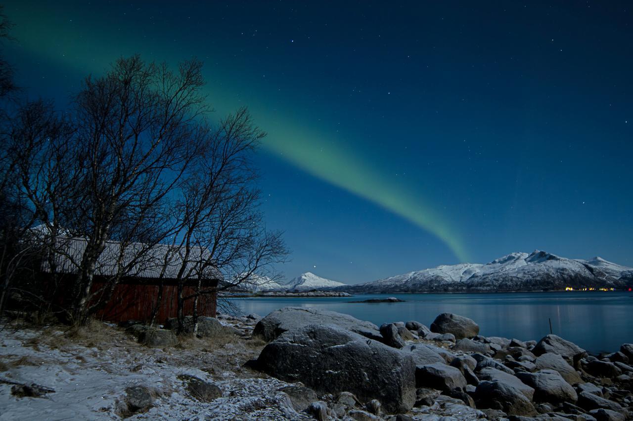Вілла Aurora Harbour House Льодінген Екстер'єр фото